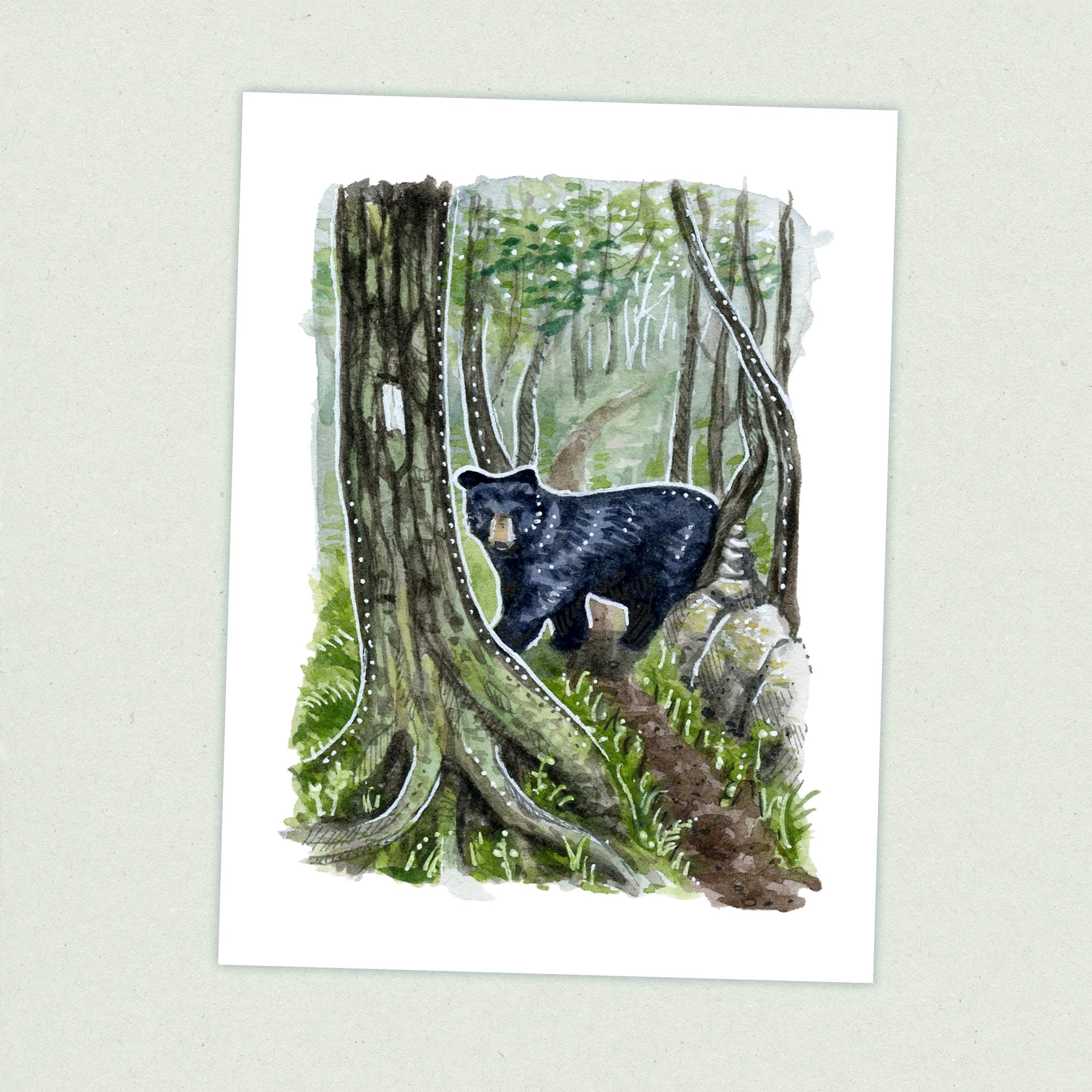 Shenandoah NP - Appalachian Trail Thru Hike  - Fine Art Print