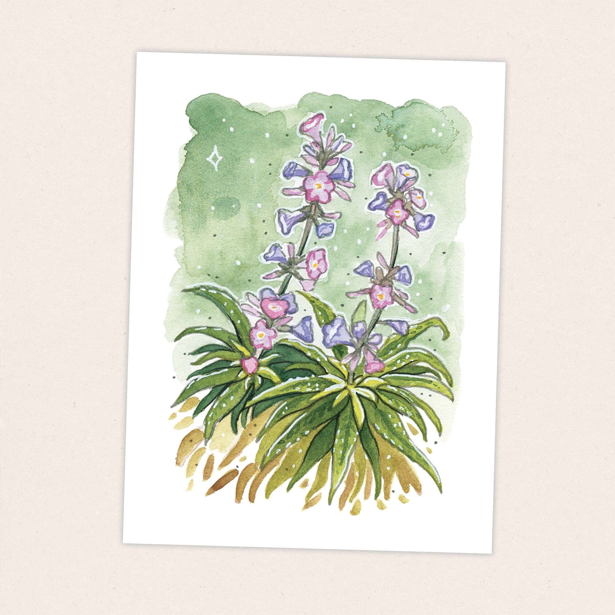 Poodle Dog Bush - Pacific Crest Trail Thru Hike  - Fine Art Print