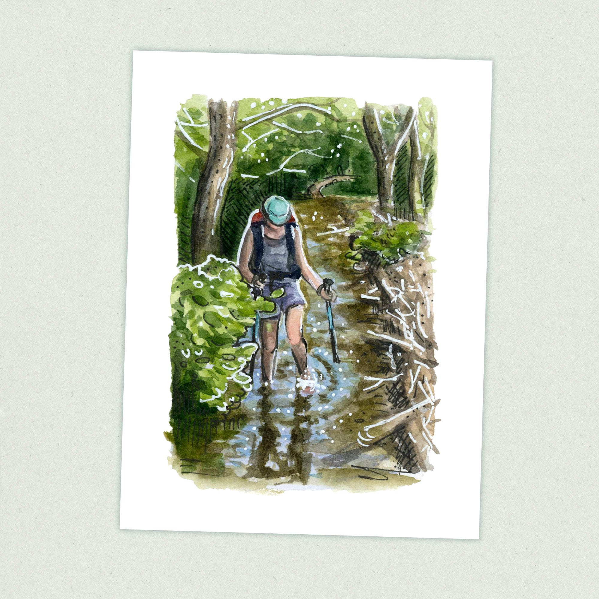 Beaver Dam - Appalachian Trail Thru Hike  - Fine Art Print