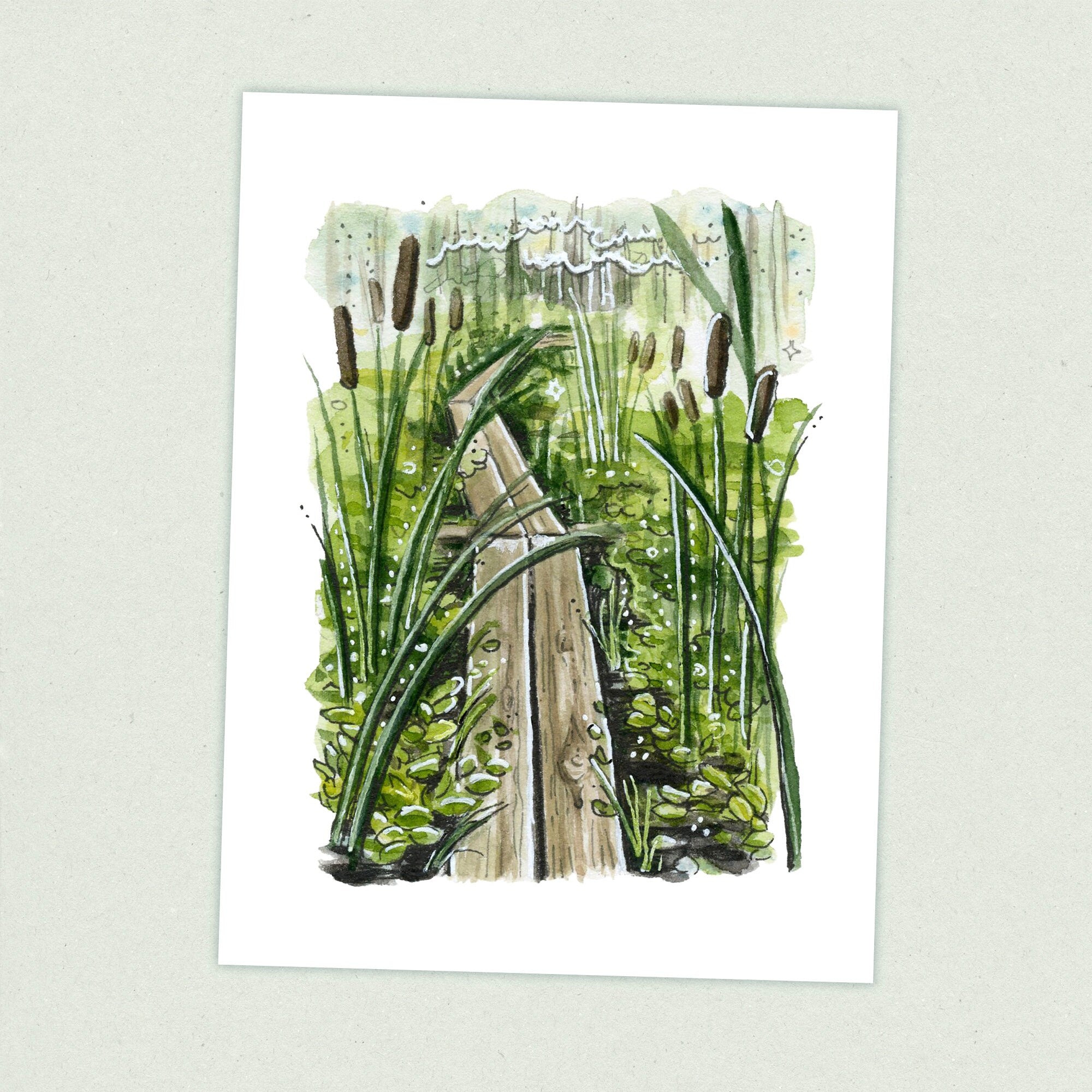 New Jersey - Appalachian Trail Thru Hike  - Fine Art Print