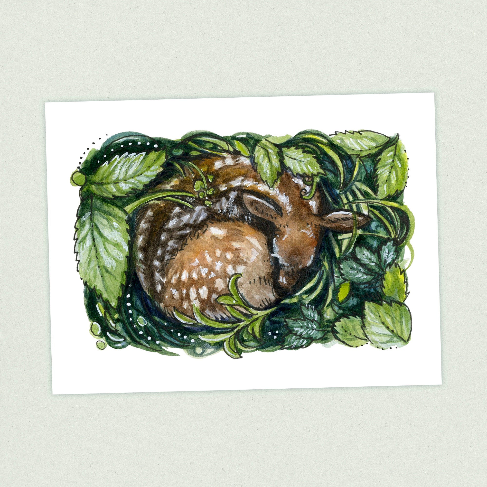 Fawn - Appalachian Trail Thru Hike  - Fine Art Print