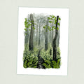 Green Tunnel - Appalachian Trail Thru Hike  - Fine Art Print