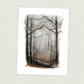 Chattahoochee NF - Appalachian Trail Thru Hike  - Fine Art Print