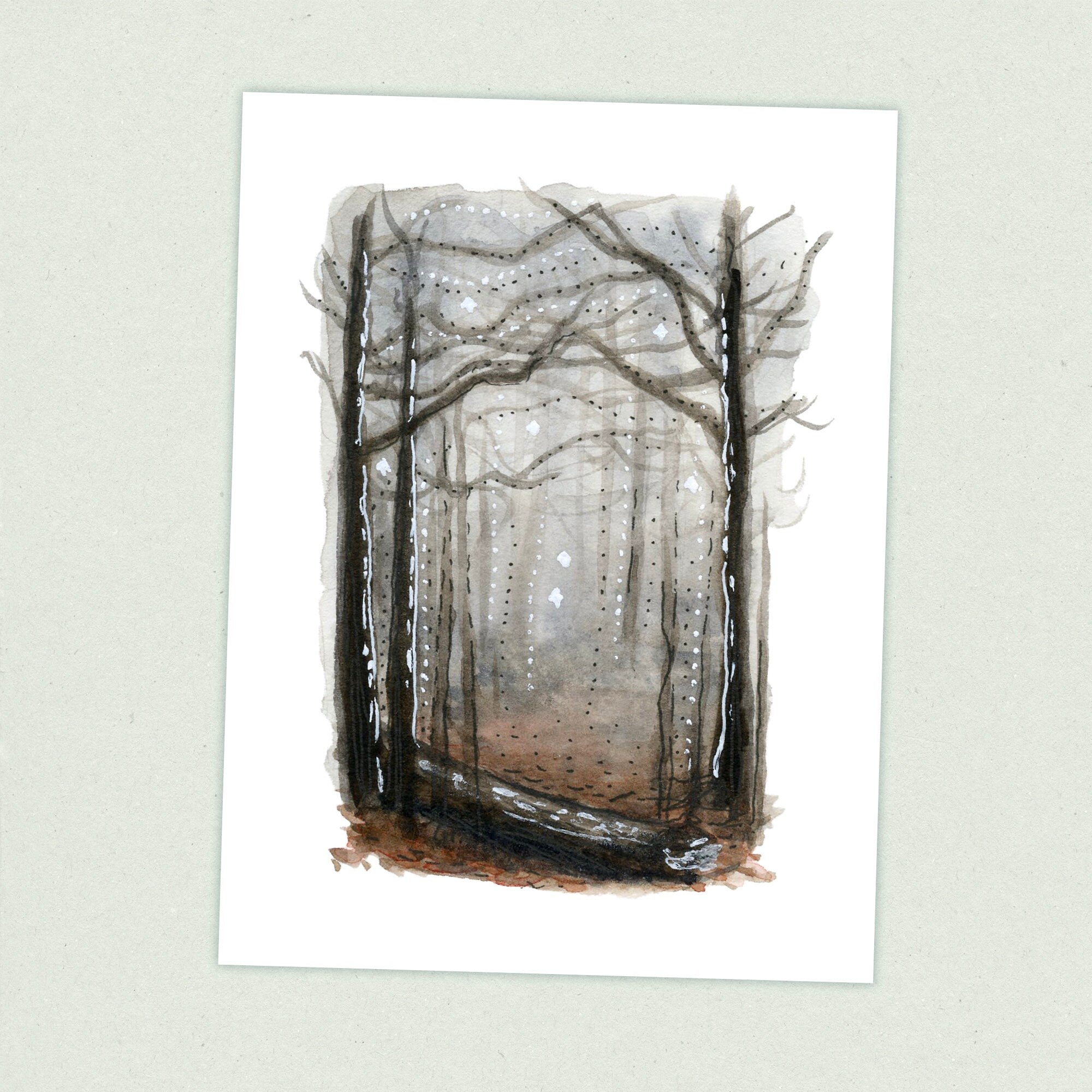 Chattahoochee NF - Appalachian Trail Thru Hike  - Fine Art Print