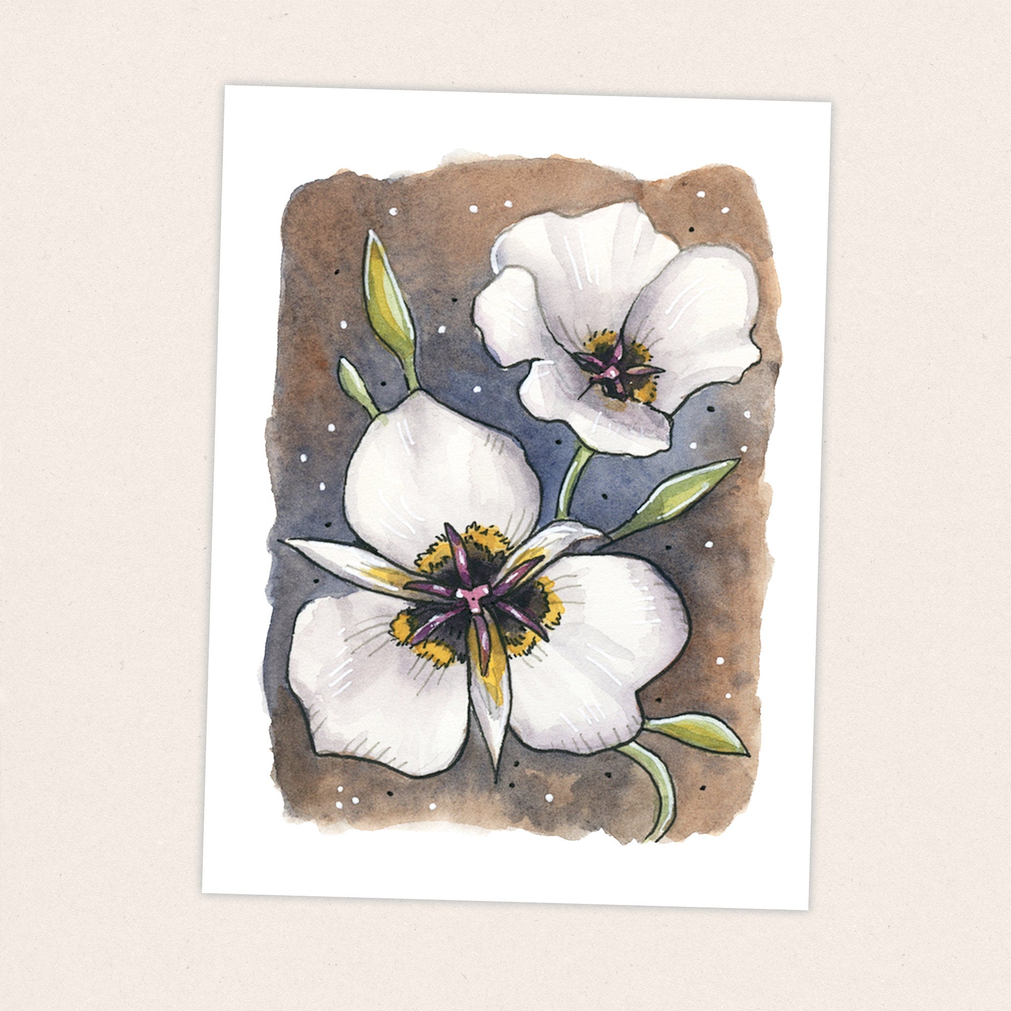 Mariposa Lily - Pacific Crest Trail Thru Hike  - Fine Art Print