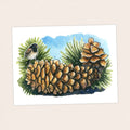 Widowmakers - Pacific Crest Trail Thru Hike  - Fine Art Print