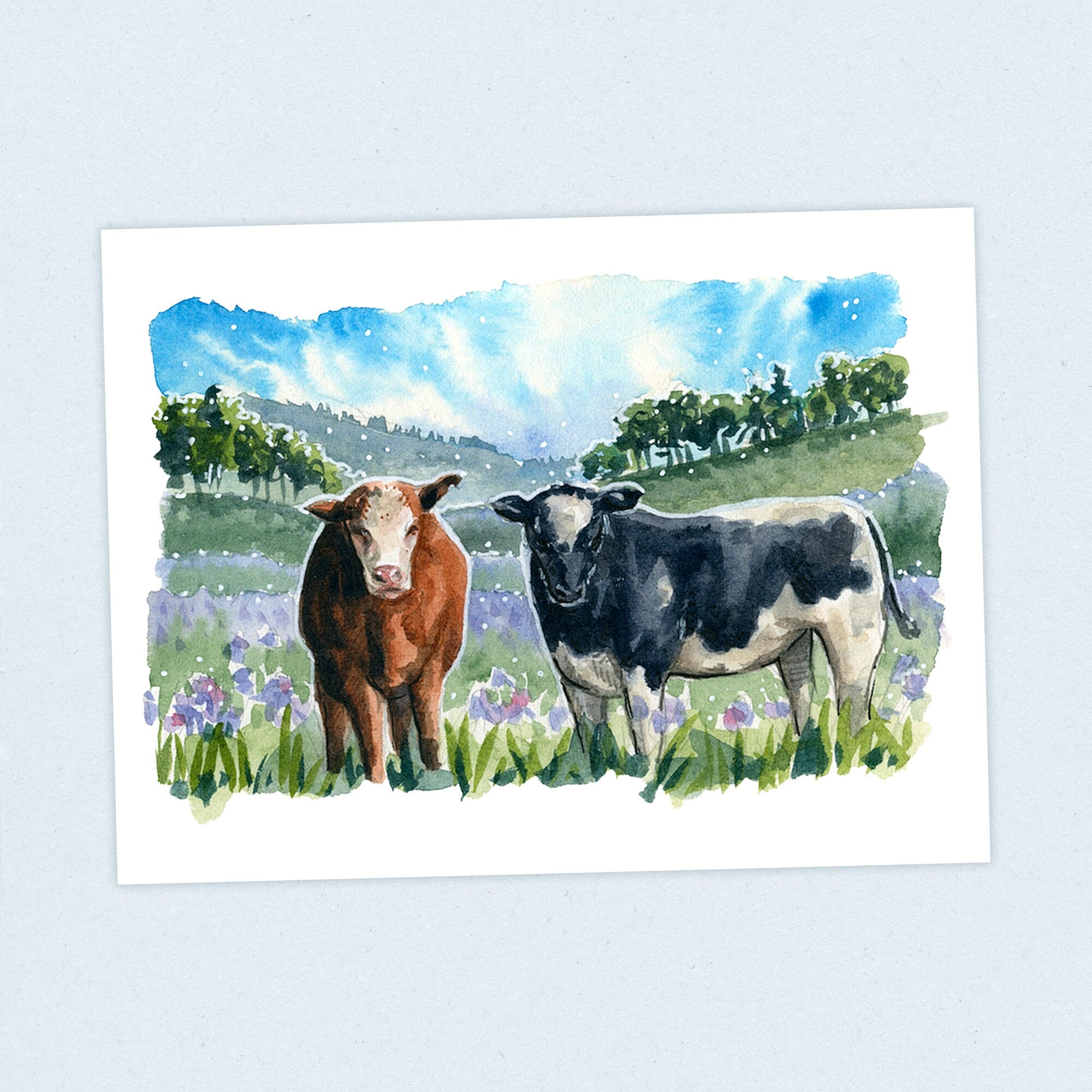 Moo Mexico - Continental Divide Trail - Fine Art Print
