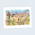 Loggerhead Shrike - Continental Divide Trail - Fine Art Print