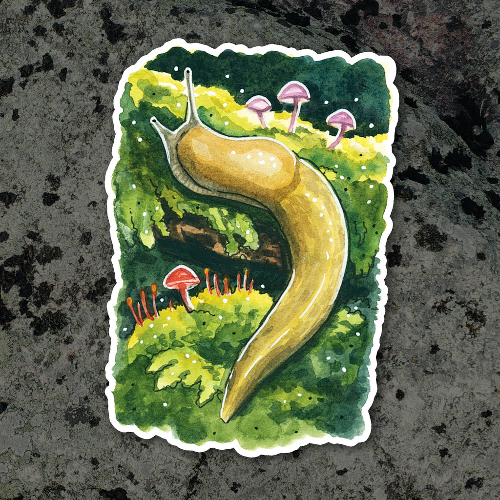 Sticker - Banana Slug