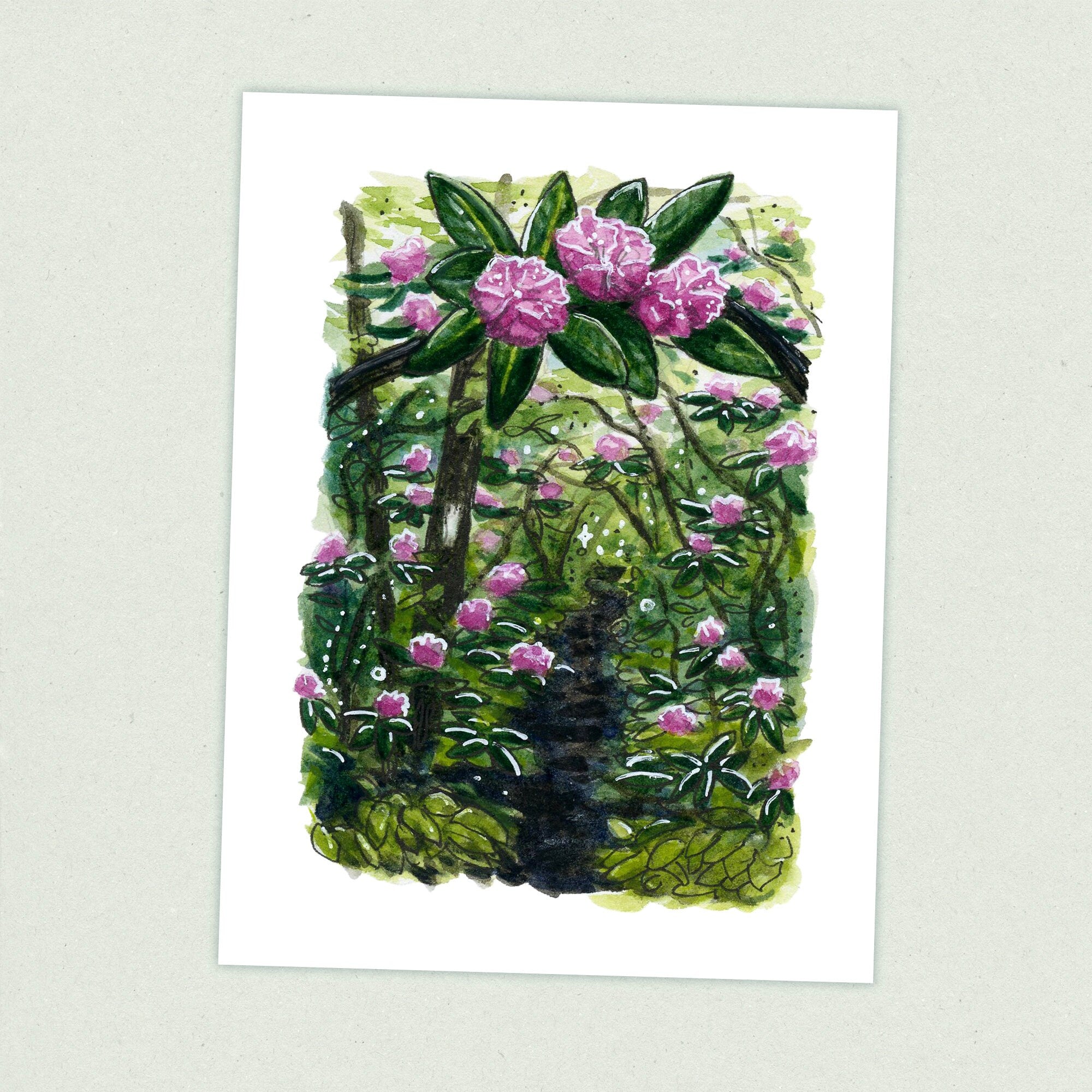 Rhododendron - Appalachian Trail Thru Hike  - Fine Art Print
