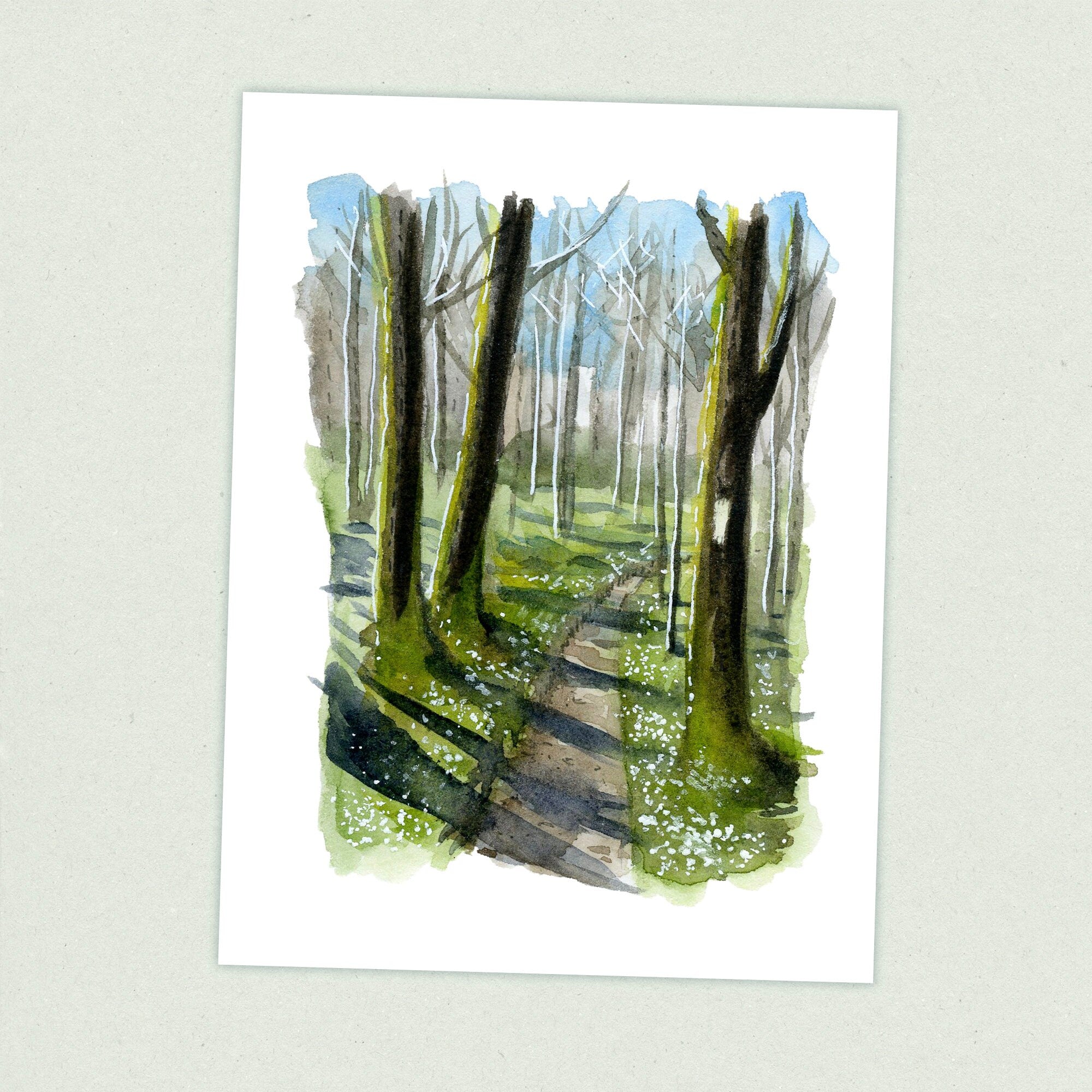 Smoky Mountains - Appalachian Trail Thru Hike  - Fine Art Print
