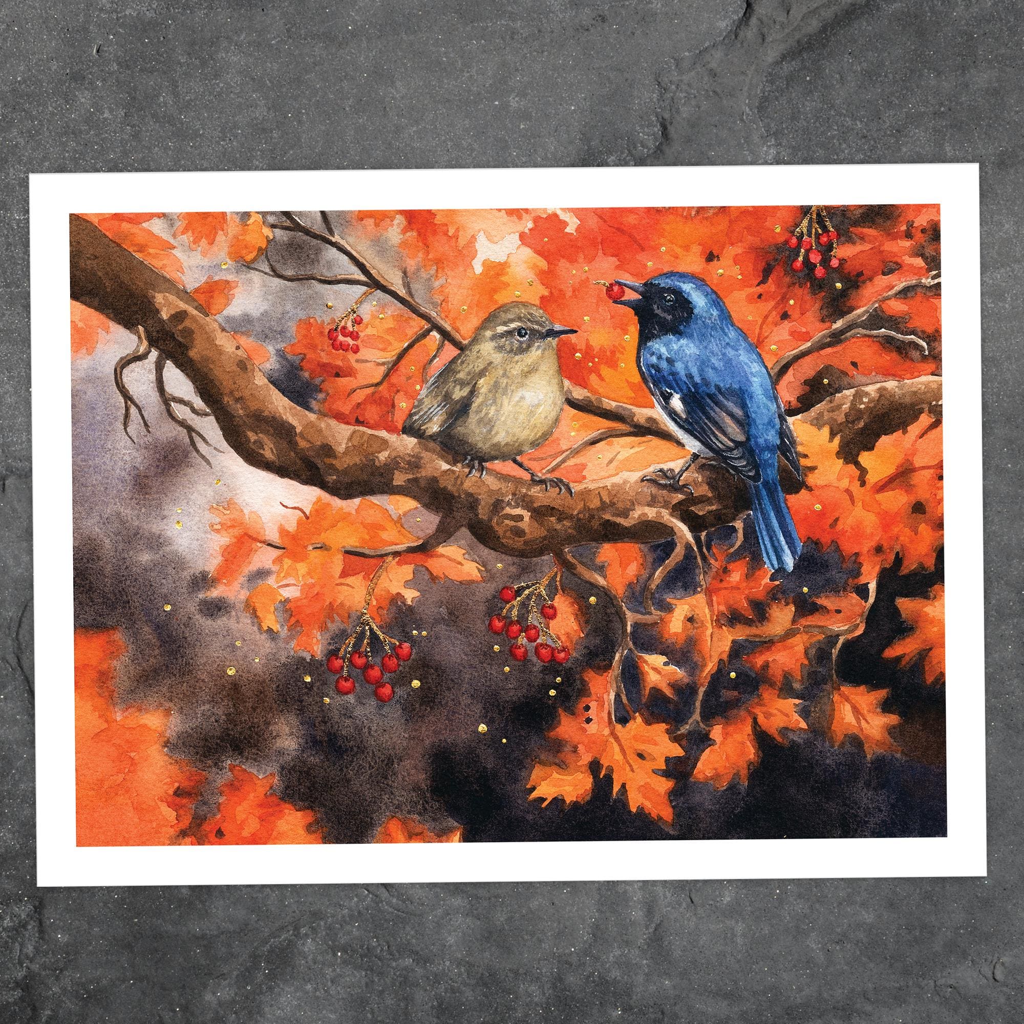 Black-Throated Bluebird of Happiness - Fine Art Print of Watercolor Painting - Nature Decor