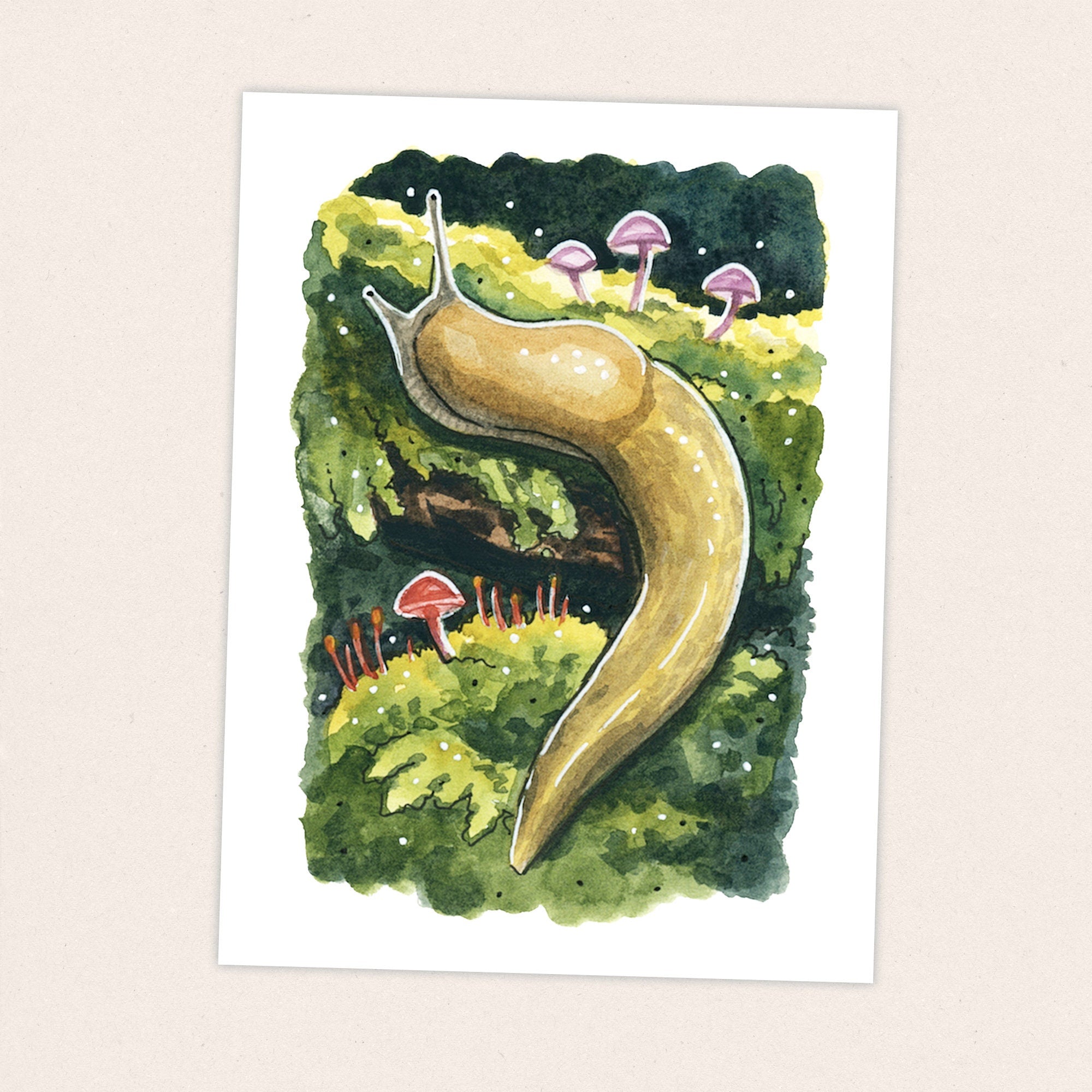 Banana Slug - Pacific Crest Trail Thru Hike  - Fine Art Print