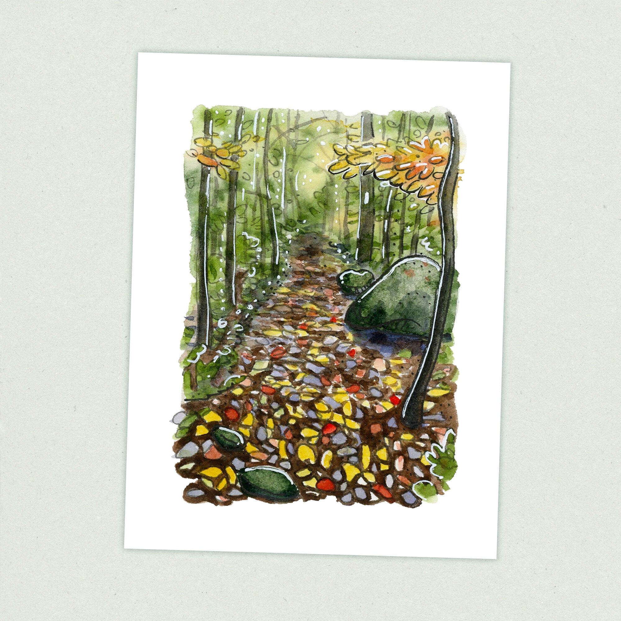 Fall - Appalachian Trail Thru Hike  - Fine Art Print