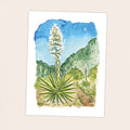 Yucca - Pacific Crest Trail Thru Hike  - Fine Art Print