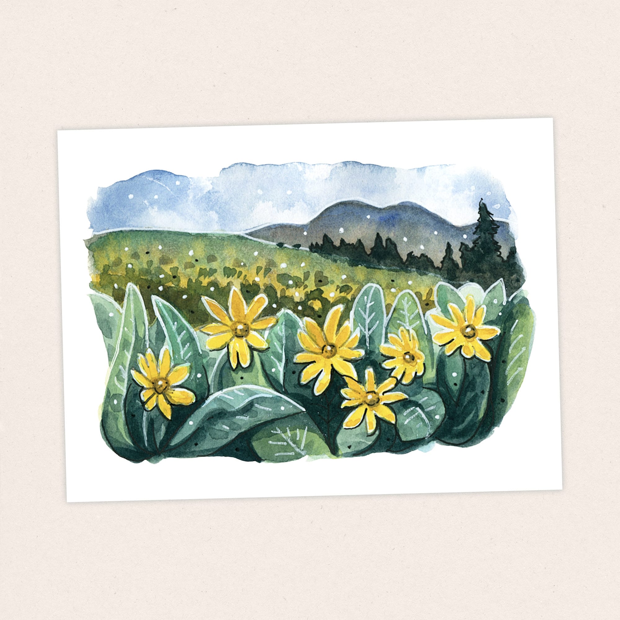 Mule Ear Wildflowers - Pacific Crest Trail Thru Hike  - Fine Art Print