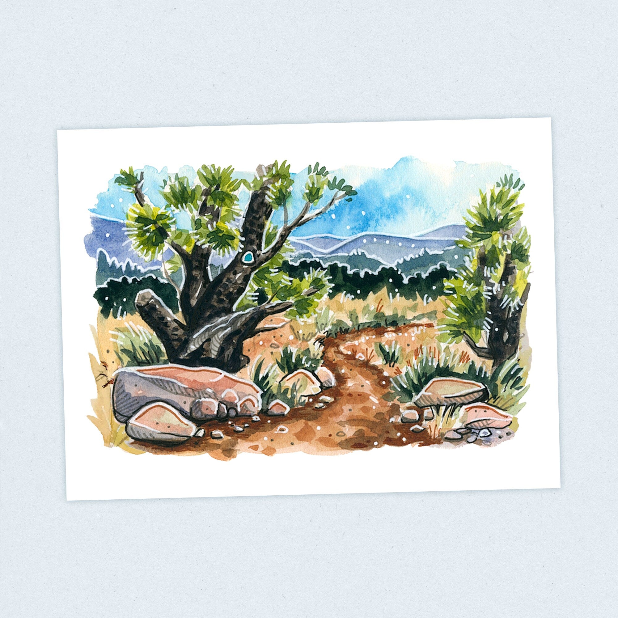 Gila Wilderness - Continental Divide Trail - Fine Art Print