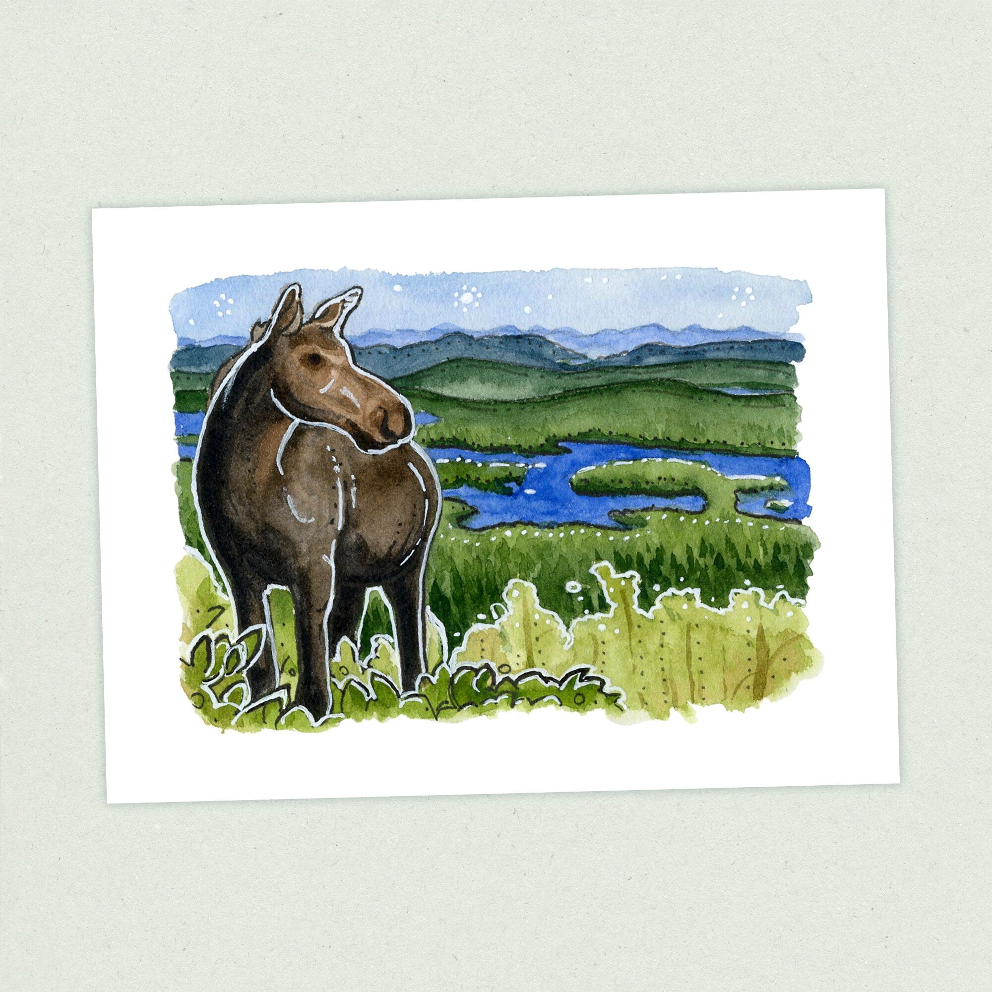 Moose - Appalachian Trail Thru Hike  - Fine Art Print