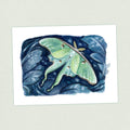 Luna Moth - Appalachian Trail Thru Hike  - Fine Art Print