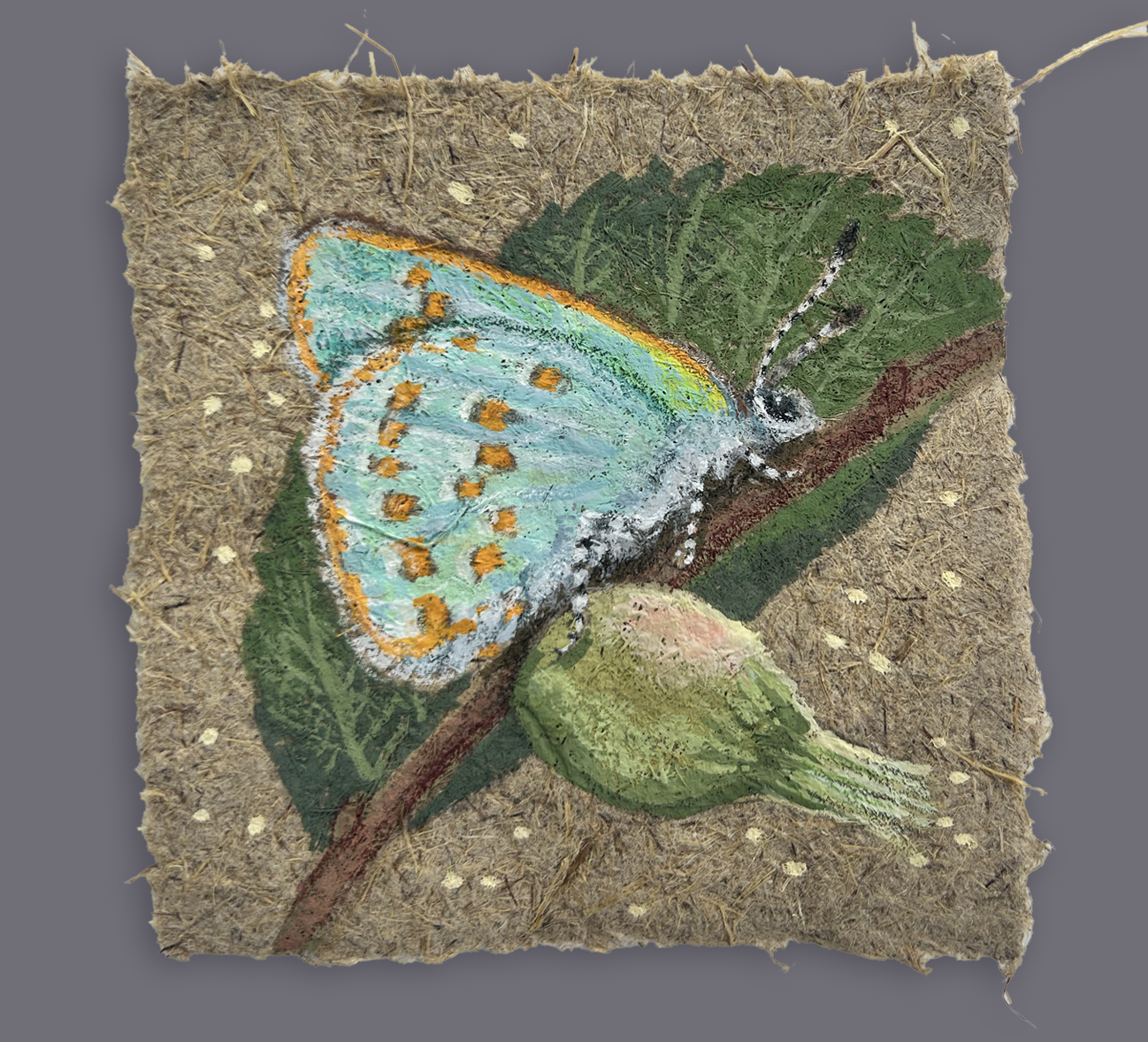 Early Hairstreak on Handmade Paper