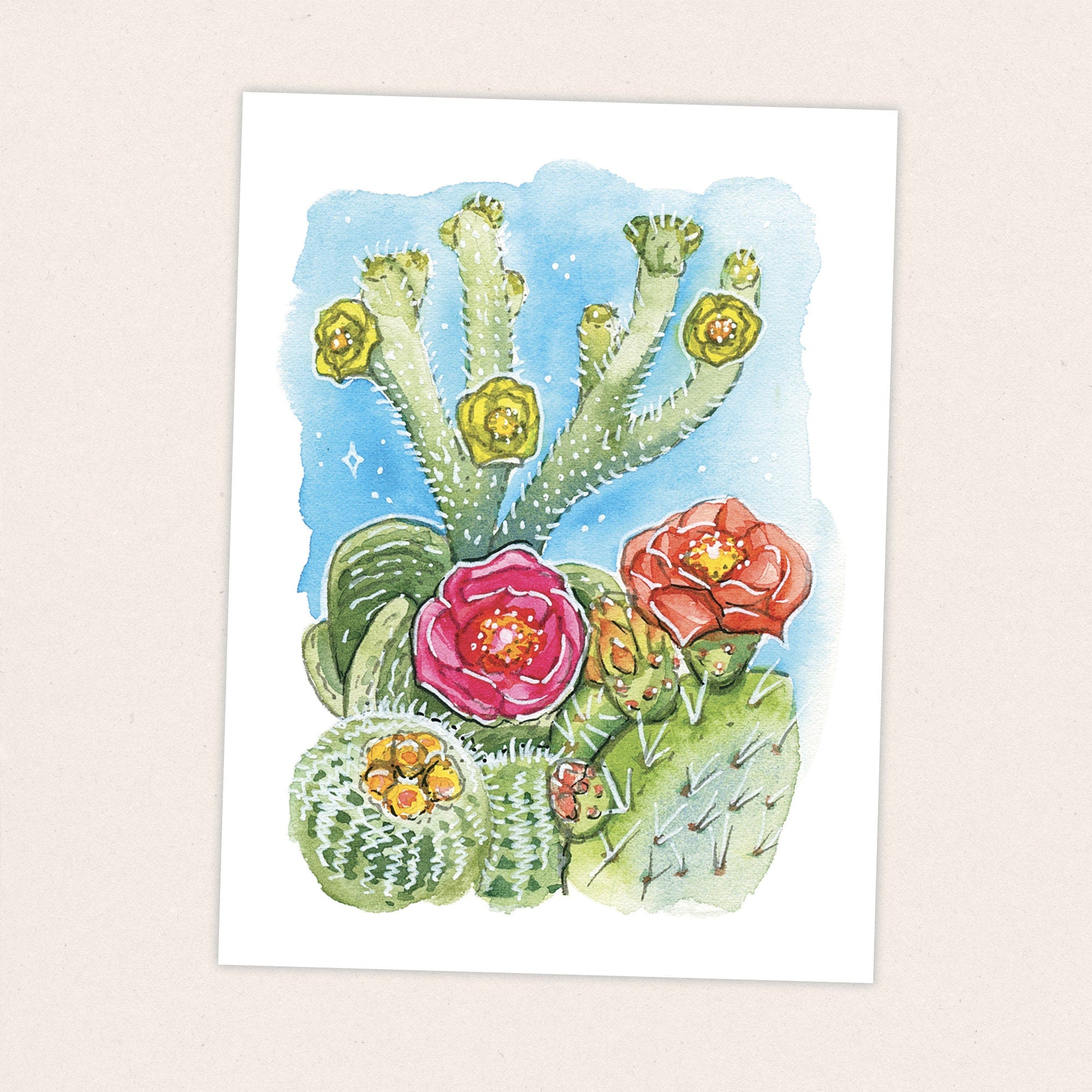 Cactus Flowers - Pacific Crest Trail Thru Hike  - Fine Art Print