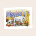 North Cascades NP - Pacific Crest Trail Thru Hike  - Fine Art Print