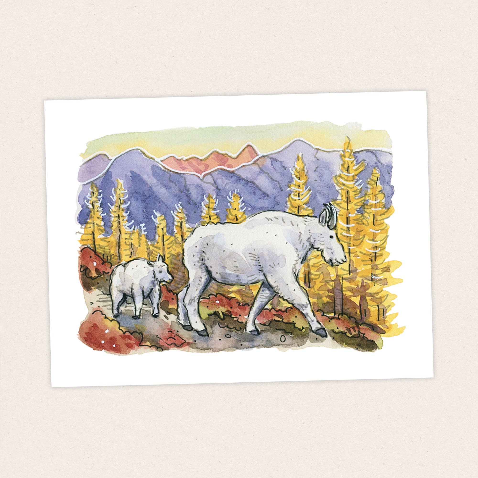 North Cascades NP - Pacific Crest Trail Thru Hike  - Fine Art Print
