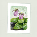 Pink Lady Slipper - Appalachian Trail Thru Hike  - Fine Art Print