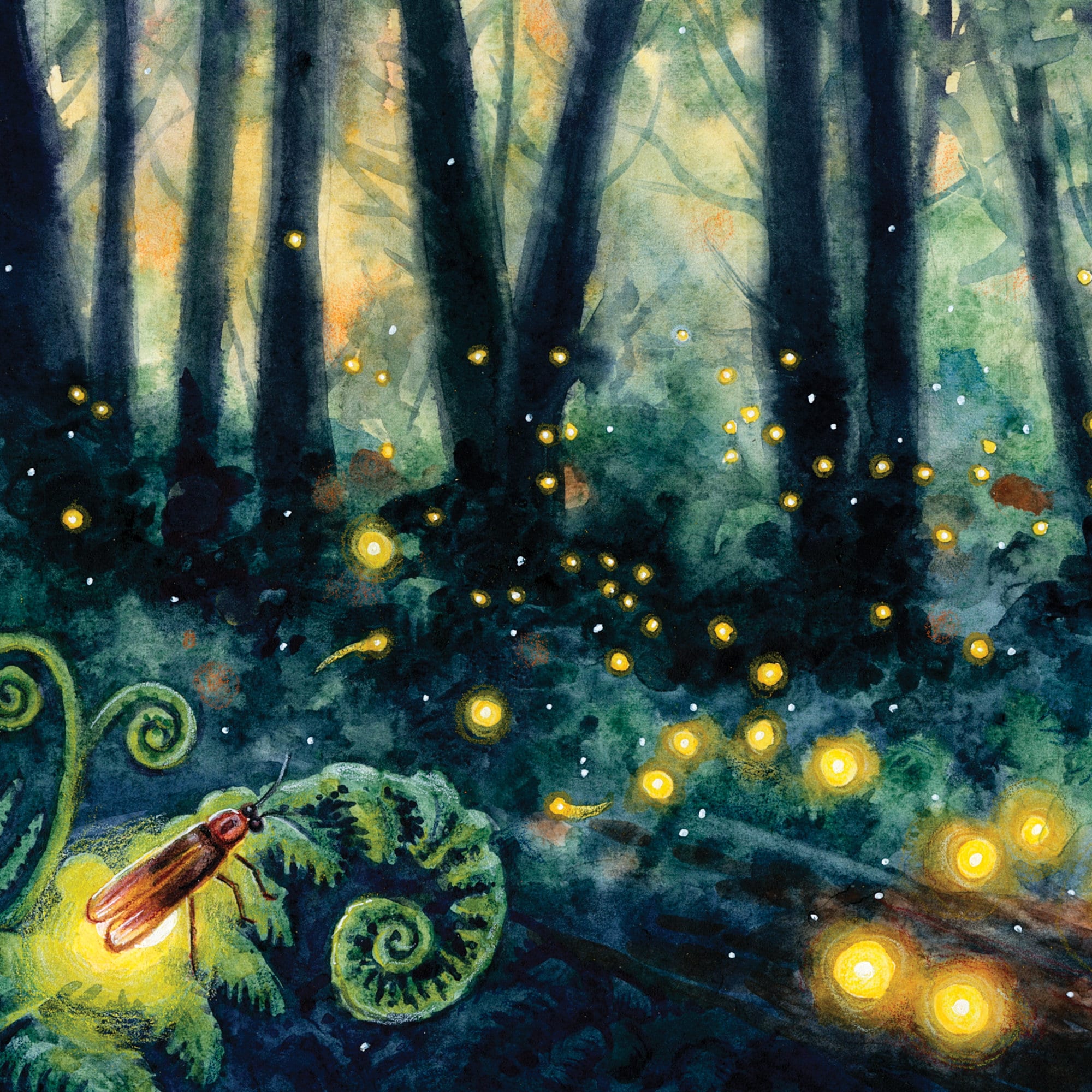 Synchronous Fireflies - Fine Art Print of Watercolor Painting