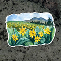 Sticker - Mules Ear Wildflowers