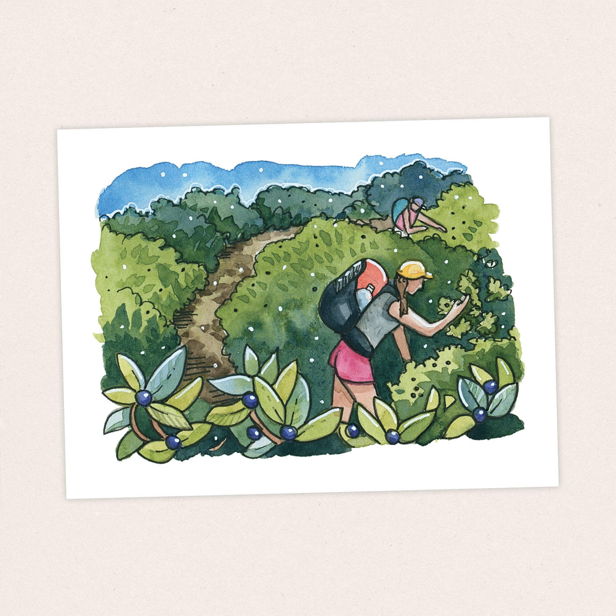 Hucks and Blueberries - Pacific Crest Trail Thru Hike  - Fine Art Print