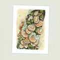 Tree Fungi - Appalachian Trail Thru Hike  - Fine Art Print