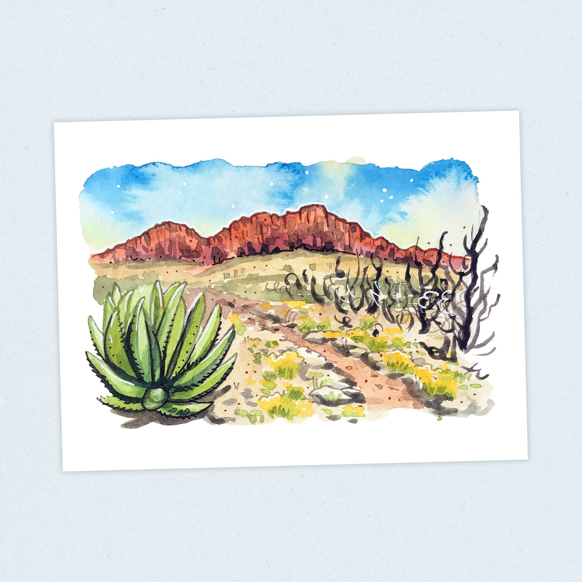 Bootheel - Continental Divide Trail - Fine Art Print