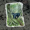 Sticker - Bear on the AT