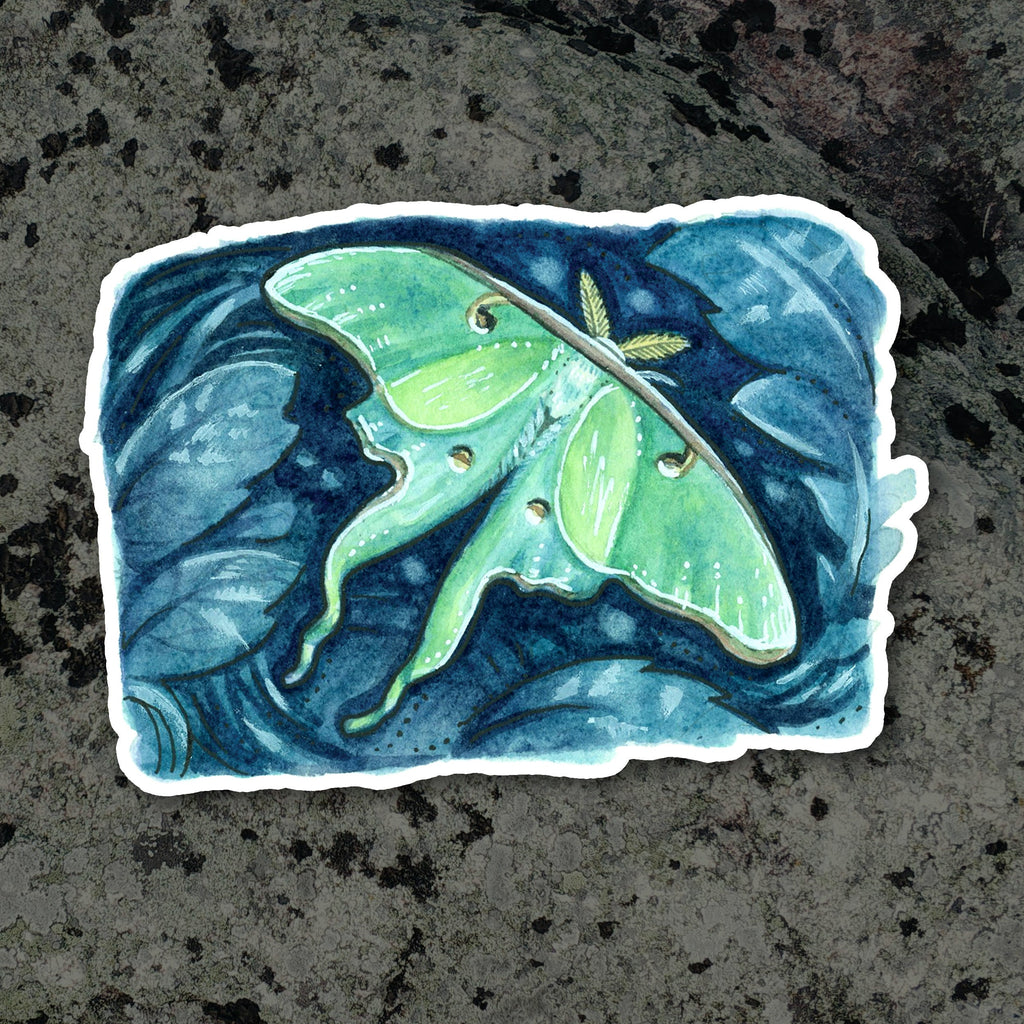 Sticker - Luna Moth