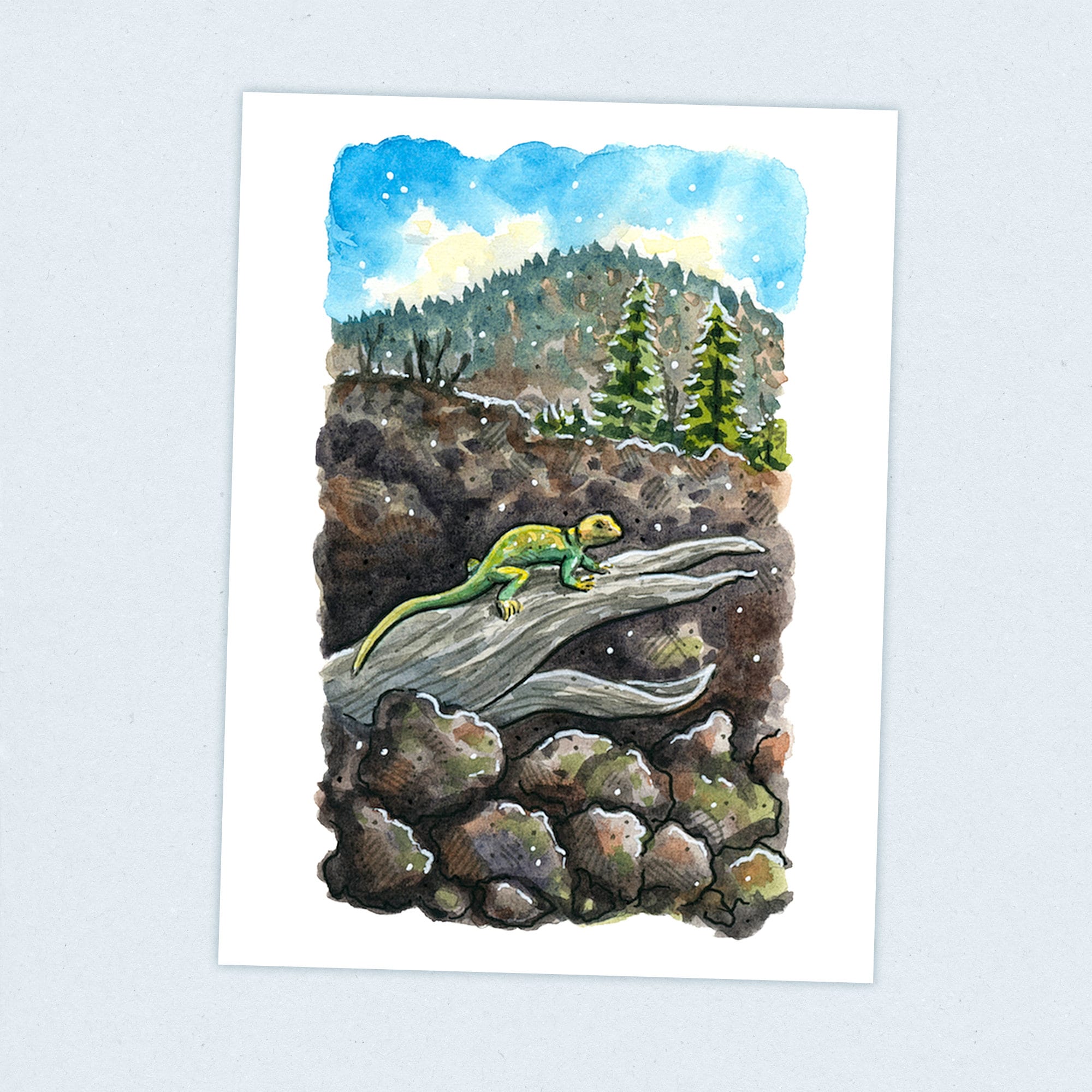 El Malpais - Continental Divide Trail - Fine Art Print