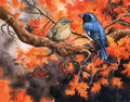 Black-Throated Bluebird of Happiness - Fine Art Print of Watercolor Painting - Nature Decor