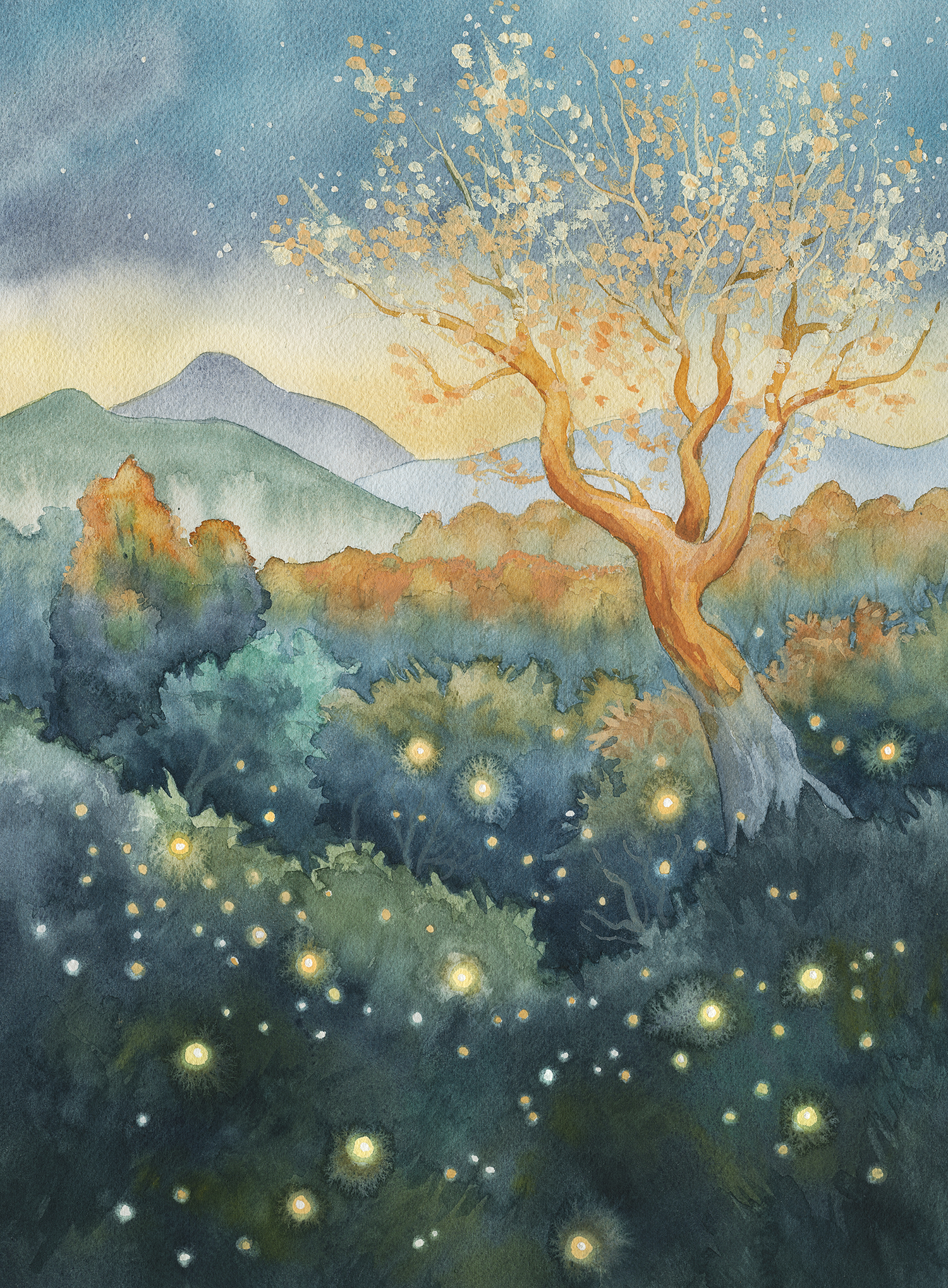 Woodland Stars - Fine Art Print of Watercolor Painting